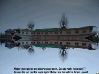 Mirror image posted this picture upside down… Can you really make it out?? Besides the fact that the sky is lighter (below) and the water is darker (above) 