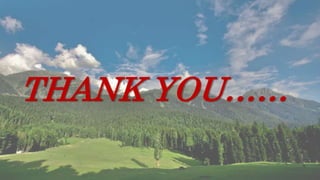 THANK YOU……
 
