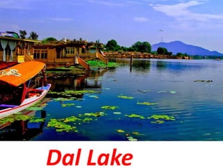 Dal Lake
 