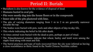 Period II: Burials
• Burzahom is also known for the evidence of disposal of dead.
• Humans buried in oval pits
• Pits were mostly dug into the house floors or in the compounds
• Inner side of the pits plastered with lime.
• The pits of varying diameters ranging from 1 m to 2 m are generally narrower
towards the top.
• The bodies were buried with pots, tools and other objects of day-to-day life,
• This whole indicating the belief in life after death.
• At times animal were buried with the dead as pets, perhaps as part of ritual.
• The Palaeobotanical remains indicate that wheat, barley and lentil were among the
staple food along with meat and fish.
• The burial practices and type of tools recovered from the site were inferred as having
a close resemblance to those found in the North Chinese Neolithic culture
 