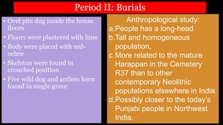 Period II: Burials
• Ovel pits dug inside the house
floors
• Floors were plastered with lime
• Body were placed with red-
ochre
• Skeleton were found in
crouched position
• Five wild dog and antlers horn
found in single grave
Anthropological study:
a.People has a long-head
b.Tall and homogeneous
population,
c.More related to the mature
Harappan in the Cemetery
R37 than to other
contemporary Neolithic
populations elsewhere in India.
d.Possibly closer to the today’s
Punjabi people in Northwest
India.
 