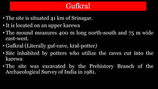 Gufkral
• The site is situated 41 km of Srinagar.
• It is located on an upper karewa
• The mound measures 400 m long north-south and 75 m wide
east-west.
• Gufkral (Literally guf-cave, kral-potter)
• Site inhabited by potters who utilize the caves cut into the
karewa
• The site was excavated by the Prehistory Branch of the
Archaeological Survey of India in 1981.
 