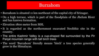 Burzahom
• Burzahom is situated 11 km northeast of the capital city of Srinagar.
• On a high terrace, which is part of the floodplain of the Jhelum River
and has karewa formation.
• Elevation 1800 meter from MSL
• It is regarded as the northernmost excavated Neolithic site in the
country.
• The entire Kashmir Valley is a cup-shaped flat surrounded by the Pir
Panjal mountain range with tall birch trees
• The word ‘Burzahom’ literally means ‘birch’ a tree species generally
grow in the Himalayas.
 