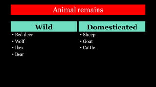 Animal remains
Wild
• Red deer
• Wolf
• Ibex
• Bear
Domesticated
• Sheep
• Goat
• Cattle
 