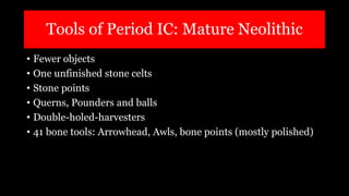 Tools of Period IC: Mature Neolithic
• Fewer objects
• One unfinished stone celts
• Stone points
• Querns, Pounders and balls
• Double-holed-harvesters
• 41 bone tools: Arrowhead, Awls, bone points (mostly polished)
 