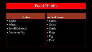 Food Habits
Grains
• Barley
• Wheat
• Lentil (Masoor)
• Common Pea
Animal bones
• Sheep
• Goats
• Cattle
• Dogs
• Pig
• Fish
 