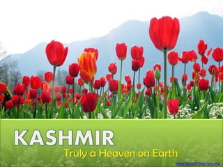 Truly a Heaven on Earth
                      www.kashmirtourism.org
 