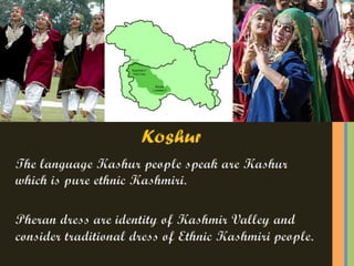 Kashmir - Aishani Bhagwat - School Project - CJM