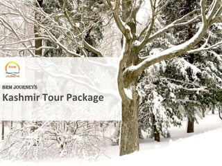 BRM Journeys

Kashmir Tour Package
 