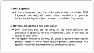 3. DNA Ligation:
➔ In the subsequent step, the sticky ends of the cross-linked DNA
fragments are religated under diluted conditions to promote
intramolecular ligations (i.e., between cross-linked fragments).
4. Reverse crosslinking and purification:
➔ DNA fragments that are far away on the linear template, but
colocalize in space(by reverse crosslinking), can, in this way, be
ligated to each other.
➔ The ligation mixture is purified. 3C yields a genome-wide ligation
product library in which each ligation product corresponds to a
specific interaction between the two corresponding loci.
 