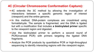 4C (Circular Chromosome Conformation Capture):
➔4C extends the 3C method by allowing the investigation of
interactions between a specific genomic region of interest
(viewpoint) and the entire genome.
➔In this method, DNA-protein complexes are crosslinked using
formaldehyde. The sample is fragmented, and the DNA is ligated
but with a modification that includes a biotinylated primer specific
to the viewpoint region and digested..
➔Use the biotinylated primer to perform a second round of
PCR(inversed PCR) with primers targeting the ligated DNA
fragments.
➔ Analyze the PCR products by quantitative PCR or high-throughput
sequencing to identify interacting regions with the viewpoint region.
 