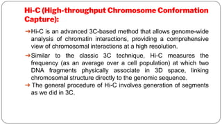 Hi-C (High-throughput Chromosome Conformation
Capture):
➔Hi-C is an advanced 3C-based method that allows genome-wide
analysis of chromatin interactions, providing a comprehensive
view of chromosomal interactions at a high resolution.
➔Similar to the classic 3C technique, Hi-C measures the
frequency (as an average over a cell population) at which two
DNA fragments physically associate in 3D space, linking
chromosomal structure directly to the genomic sequence.
➔ The general procedure of Hi-C involves generation of segments
as we did in 3C.
 