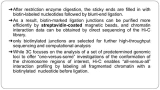 ➔After restriction enzyme digestion, the sticky ends are filled in with
biotin-labeled nucleotides followed by blunt-end ligation.
➔As a result, biotin-marked ligation junctions can be purified more
efficiently by streptavidin-coated magnetic beads, and chromatin
interaction data can be obtained by direct sequencing of the Hi-C
library.
➔only biotinylated junctions are selected for further high-throughput
sequencing and computational analysis
➔While 3C focuses on the analysis of a set of predetermined genomic
loci to offer “one-versus-some” investigations of the conformation of
the chromosome regions of interest, Hi-C enables “all-versus-all”
interaction profiling by labeling all fragmented chromatin with a
biotinylated nucleotide before ligation.
 