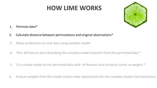 Interpretable Machine Learning Using LIME Framework - Kasia Kulma (PhD ...