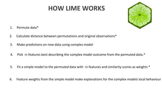 Interpretable Machine Learning Using LIME Framework - Kasia Kulma (PhD ...