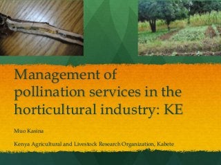 Management of 
pollination services in the 
horticultural industry: KE 
Muo Kasina 
Kenya Agricultural and Livestock Research Organization, Kabete 
 