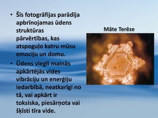 Bet šim ūdenim parādīja delfīna fotogrāfiju: