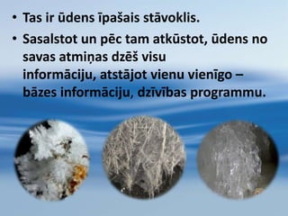 Tā izskatās pieaugšanas procesā uzkrātā dzīves pieredze(ūdens tika ietekmēts novietojot noteiktu laiku pie kolbas viena cilvēka fotogrāfijas dažādos vecuma periodos)Kaut kas ir iegūts, kaut kas pazaudēts gadu ritējumā …