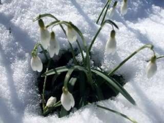 Emociju atspulgs ūdens molekulā