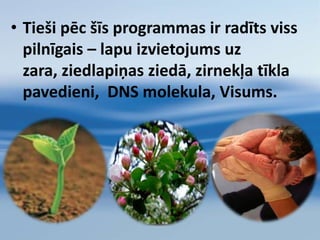 Šim ūdenim pateica -