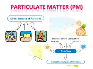 PARTICULATE MATTER (PM)
 