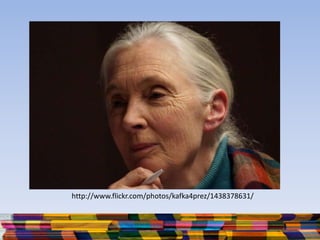 http://www.flickr.com/photos/kafka4prez/1438378631/
 