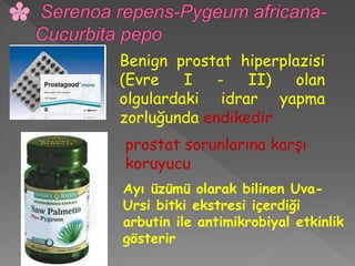 Ayı üzümü olarak bilinen Uva-
Ursi bitki ekstresi içerdiği
arbutin ile antimikrobiyal etkinlik
gösterir
prostat sorunlarına karşı
koruyucu
Benign prostat hiperplazisi
(Evre I - II) olan
olgulardaki idrar yapma
zorluğunda endikedir
 