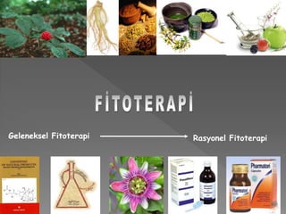 Geleneksel Fitoterapi Rasyonel Fitoterapi
 