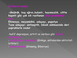 Bitkilerle tedavi:
-öksürük, baş ağrısı,bulantı, hazımsızlık, ciltte
kaşıntı gibi çok sık rastlanan akut problemler
örn:
Ekinezya, meyankökü, adaçayı, papatya
Taze adaçayı: antiseptik, böcek sokmasında deri
yapraklarla ovulur
-hafif depresyon, artrit ve varikoz gibi kronik
problemler
-hastalıkların önlenmesi (Ginkgo, antioksidan aktiviteli
bitkiler)
-immün sistem (Ginseng, Biberiye)
 