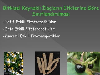 Bitkisel Kaynaklı İlaçların Etkilerine Göre
Sınıflandırılması
-Hafif Etkili Fitoterapötikler
-Orta Etkili Fitoterapötikler
-Kuvvetli Etkili Fitoterapötikler
 