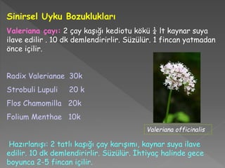 Sinirsel Uyku Bozuklukları
Valeriana çayı: 2 çay kaşığı kediotu kökü ¼ lt kaynar suya
ilave edilir . 10 dk demlendirirlir. Süzülür. 1 fincan yatmadan
önce içilir.
Radix Valerianae 30k
Strobuli Lupuli 20 k
Flos Chamomilla 20k
Folium Menthae 10k
Hazırlanışı: 2 tatlı kaşığı çay karışımı, kaynar suya ilave
edilir. 10 dk demlendirirlir. Süzülür. İhtiyaç halinde gece
boyunca 2-5 fincan içilir.
Valeriana officinalis
 