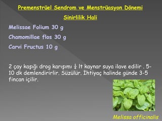 Premenstrüel Sendrom ve Menstrüasyon Dönemi
Sinirlilik Hali
Melissae Folium 30 g
Chamomillae flos 30 g
Carvi Fructus 10 g
2 çay kaşığı drog karışımı ¼ lt kaynar suya ilave edilir . 5-
10 dk demlendirirlir. Süzülür. İhtiyaç halinde günde 3-5
fincan içilir.
Melissa officinalis
 