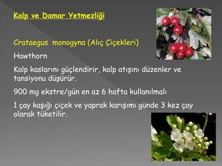 Kalp ve Damar Yetmezliği
Crataegus monogyna (Alıç Çiçekleri)
Hawthorn
Kalp kaslarını güçlendirir, kalp atışını düzenler ve
tansiyonu düşürür.
900 mg ekstre/gün en az 6 hafta kullanılmalı
1 çay kaşığı çiçek ve yaprak karışımı günde 3 kez çay
olarak tüketilir.
 
