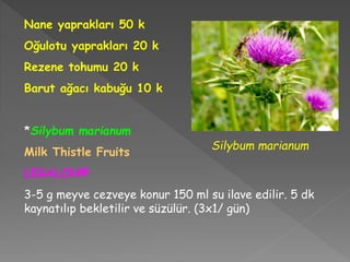 Nane yaprakları 50 k
Oğulotu yaprakları 20 k
Rezene tohumu 20 k
Barut ağacı kabuğu 10 k
*Silybum marianum
Milk Thistle Fruits
LEGALON®
3-5 g meyve cezveye konur 150 ml su ilave edilir. 5 dk
kaynatılıp bekletilir ve süzülür. (3x1/ gün)
Silybum marianum
 