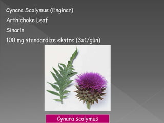 Cynara Scolymus (Enginar)
Arthichoke Leaf
Sinarin
100 mg standardize ekstre (3x1/gün)
Cynara scolymus
 