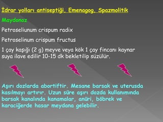 İdrar yolları antiseptiği, Emenagog, Spazmolitik
Maydonoz
Petroseliunum crispum radix
Petroselinum crispum fructus
1 çay kaşığı (2 g) meyve veya kök 1 çay fincanı kaynar
suya ilave edilir 10-15 dk bekletilip süzülür.
Aşırı dozlarda abortiftir. Mesane barsak ve uterusda
kasılmayı artırır. Uzun süre aşırı dozda kullanımında
barsak kanalında kanamalar, anüri, böbrek ve
karaciğerde hasar meydana gelebilir.
 
