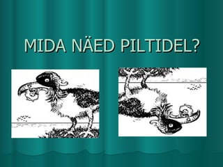 MIDA N?ED PILTIDEL? 
