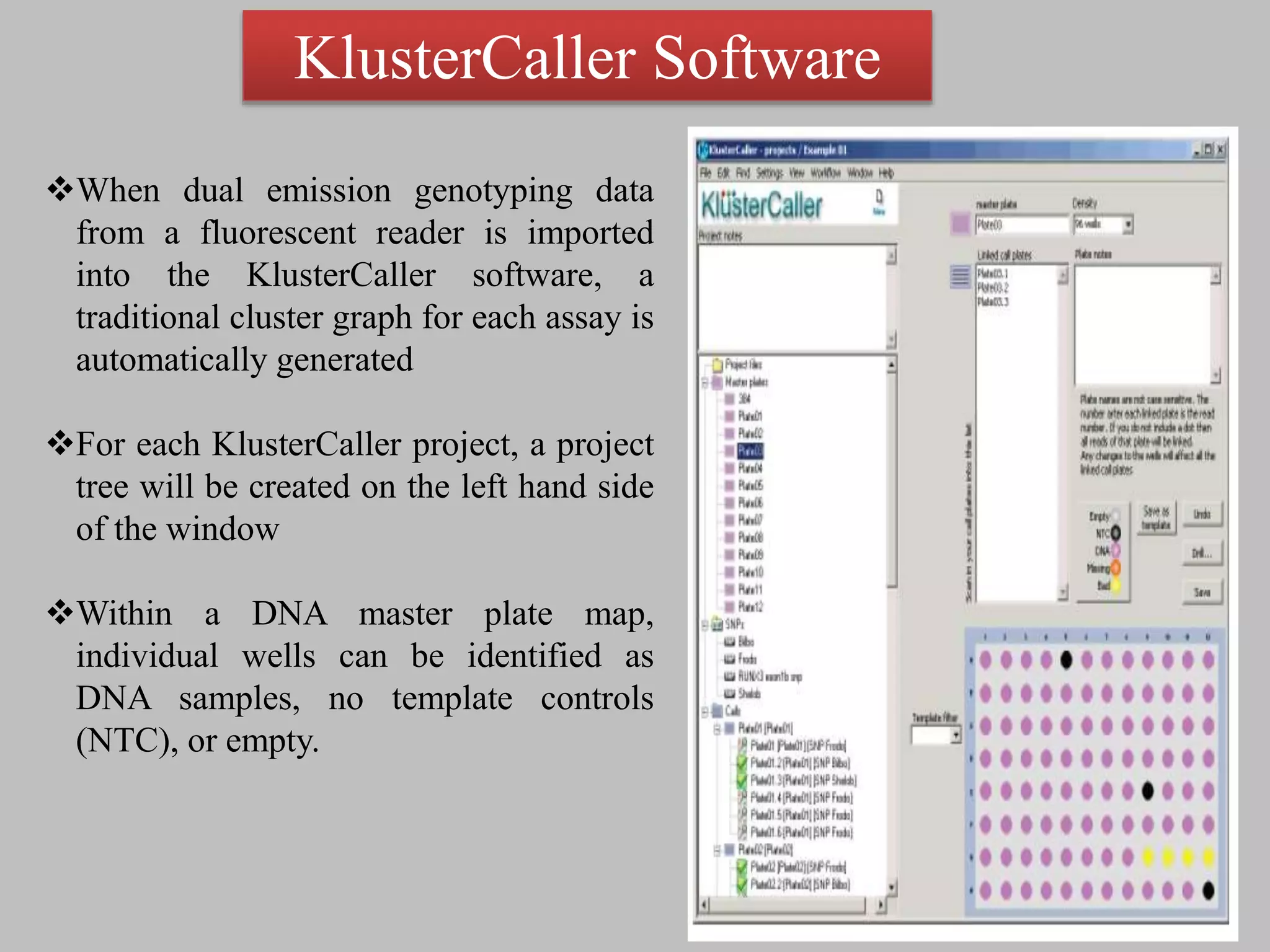 KlusterCaller Software
When dual emission genotyping data
from a fluorescent reader is imported
into the KlusterCaller software, a
traditional cluster graph for each assay is
automatically generated
For each KlusterCaller project, a project
tree will be created on the left hand side
of the window
Within a DNA master plate map,
individual wells can be identified as
DNA samples, no template controls
(NTC), or empty.
 
