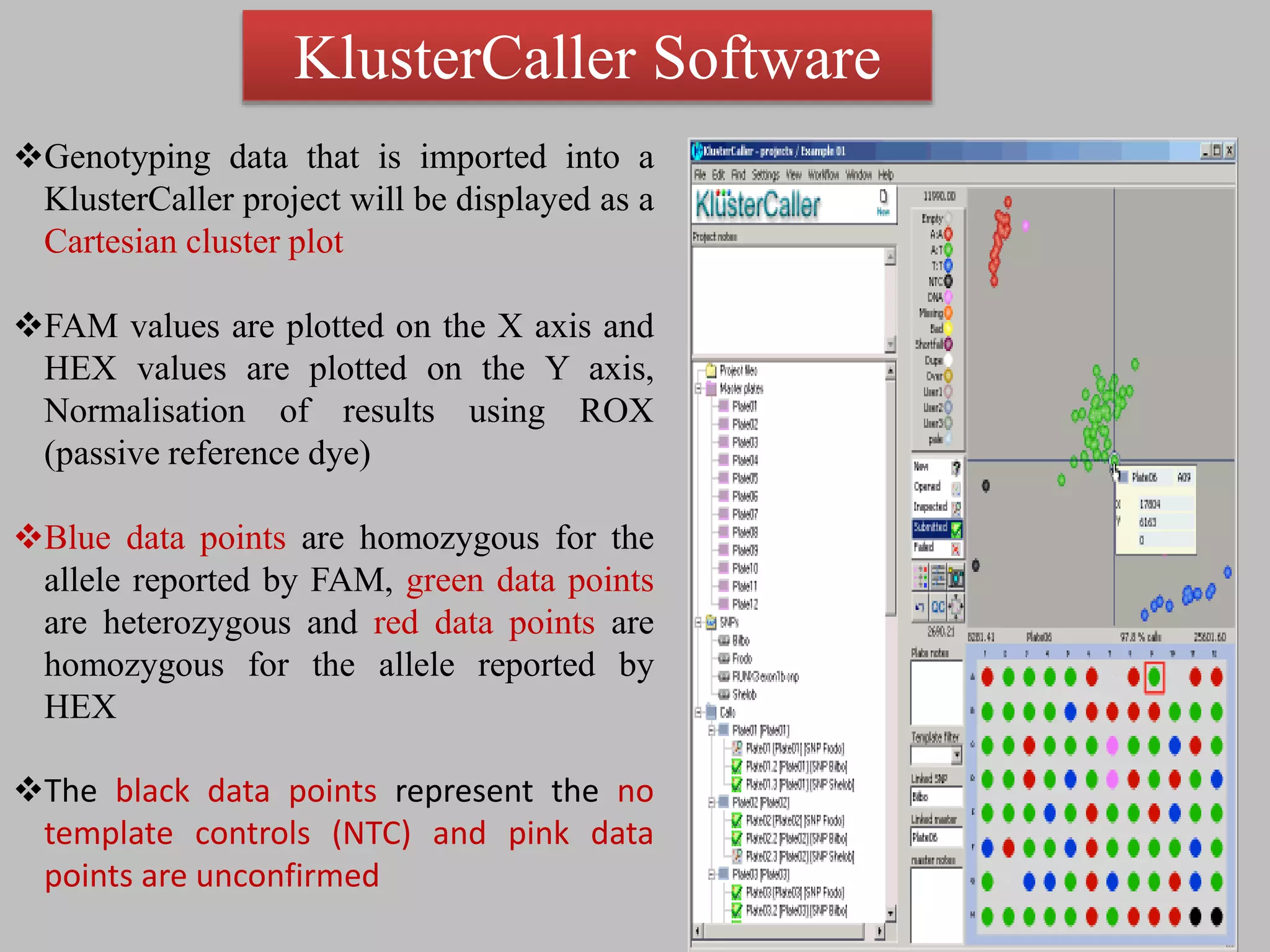 Genotyping data that is imported into a
KlusterCaller project will be displayed as a
Cartesian cluster plot
FAM values are plotted on the X axis and
HEX values are plotted on the Y axis,
Normalisation of results using ROX
(passive reference dye)
Blue data points are homozygous for the
allele reported by FAM, green data points
are heterozygous and red data points are
homozygous for the allele reported by
HEX
The black data points represent the no
template controls (NTC) and pink data
points are unconfirmed
KlusterCaller Software
 