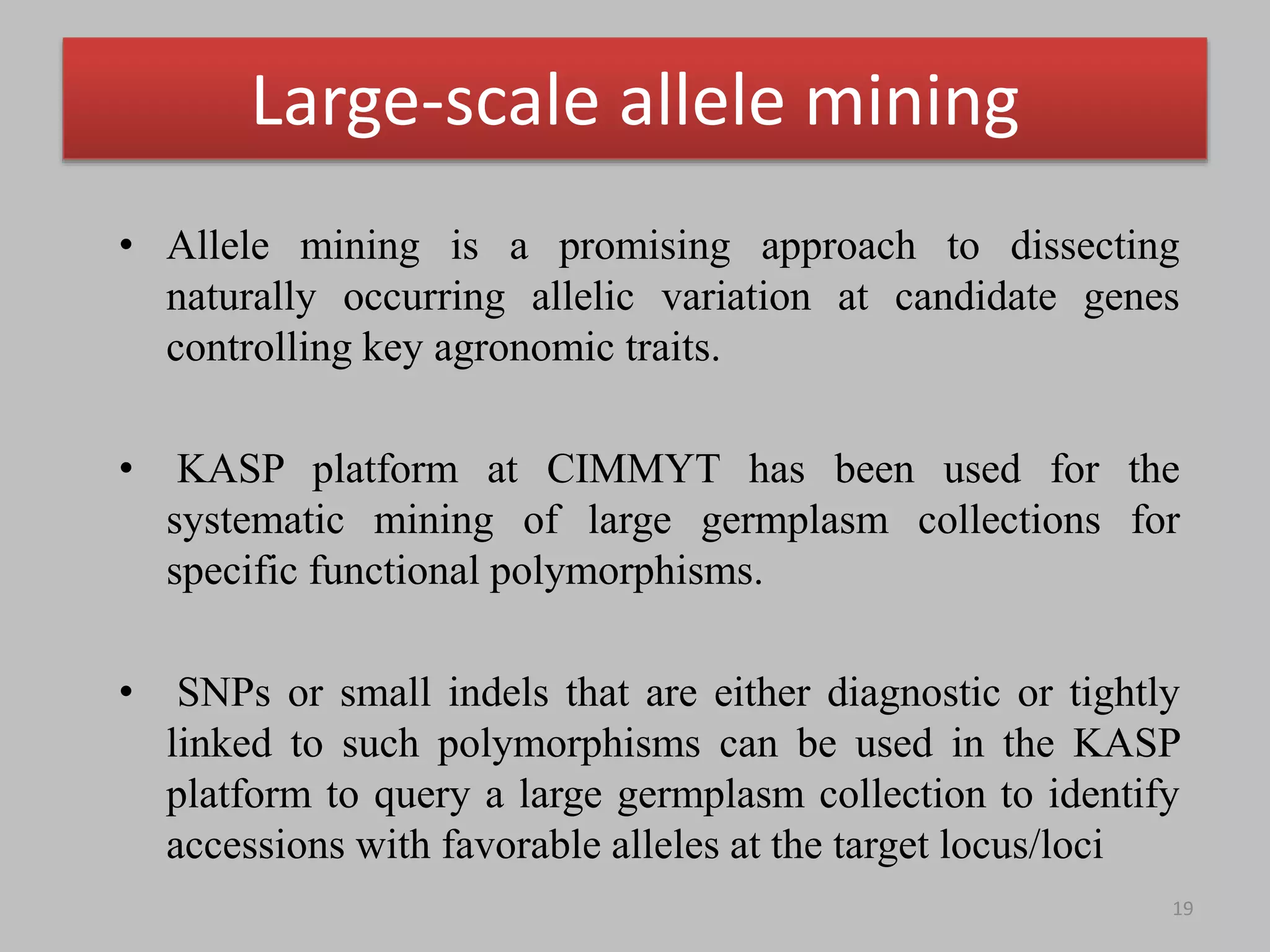 • Allele mining is a promising approach to dissecting
naturally occurring allelic variation at candidate genes
controlling key agronomic traits.
• KASP platform at CIMMYT has been used for the
systematic mining of large germplasm collections for
specific functional polymorphisms.
• SNPs or small indels that are either diagnostic or tightly
linked to such polymorphisms can be used in the KASP
platform to query a large germplasm collection to identify
accessions with favorable alleles at the target locus/loci
19
Large-scale allele mining
 