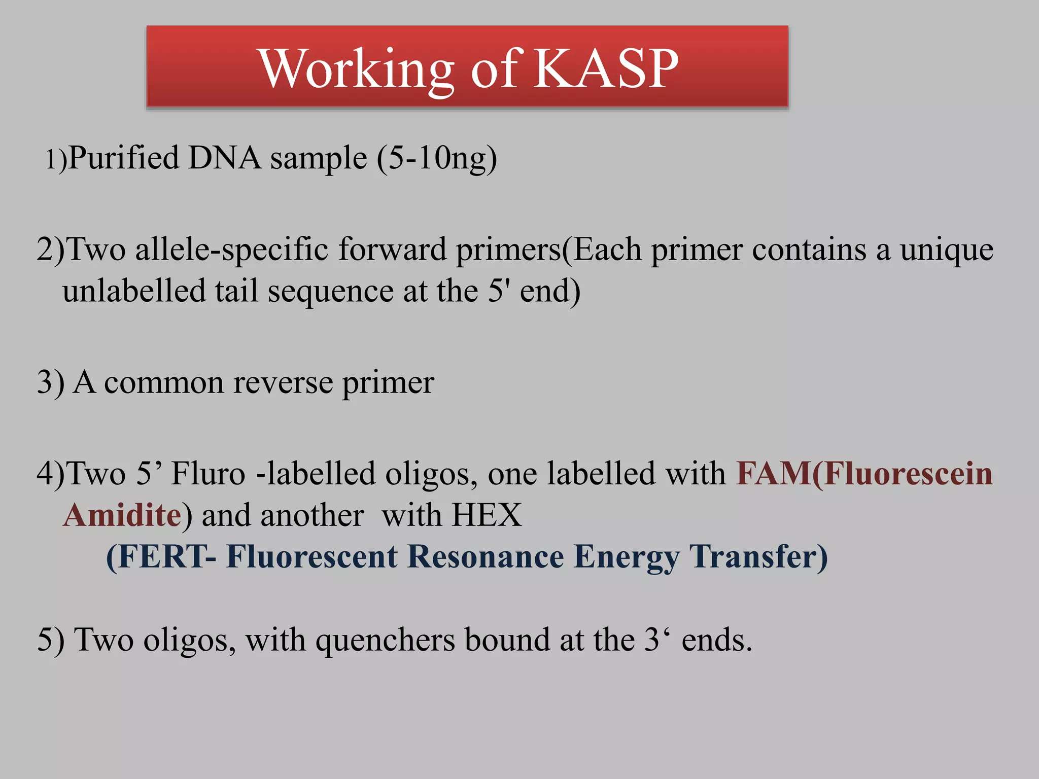 1)Purified DNA sample (5-10ng)
2)Two allele-specific forward primers(Each primer contains a unique
unlabelled tail sequence at the 5' end)
3) A common reverse primer
4)Two 5’ Fluro ‐labelled oligos, one labelled with FAM(Fluorescein
Amidite) and another with HEX
(FERT- Fluorescent Resonance Energy Transfer)
5) Two oligos, with quenchers bound at the 3‘ ends.
Working of KASP
 