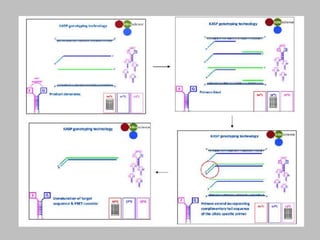 Single Nucleotide Polymorphism Genotyping Using Kompetitive Allele ...