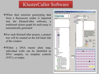 Single Nucleotide Polymorphism Genotyping Using Kompetitive Allele ...