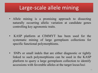 Single Nucleotide Polymorphism Genotyping Using Kompetitive Allele ...