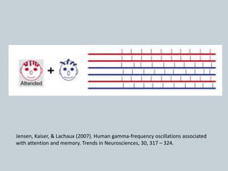 Jensen, Kaiser, & Lachaux (2007). Human gamma-frequency oscillations associated
with attention and memory. Trends in Neurosciences, 30, 317 – 324.
 