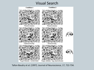 Visual Search
Tallon-Baudry et al. (1997). Journal of Neuroscience, 17, 722-734.
 