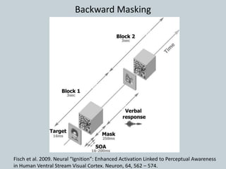 Fisch et al. 2009. Neural “Ignition”: Enhanced Activation Linked to Perceptual Awareness
in Human Ventral Stream Visual Cortex. Neuron, 64, 562 – 574.
Backward Masking
 
