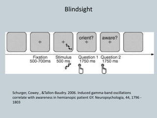 Schurger, Cowey , &Tallon-Baudry. 2006. Induced gamma-band oscillations
correlate with awareness in hemianopic patient GY. Neuropsychologia, 44, 1796 -
1803
Blindsight
 