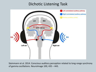Steinmann et al. 2014. Conscious auditory perception related to long-range synchrony
of gamma oscillations. NeuroImage 100, 435 – 443.
Dichotic Listening Task
 