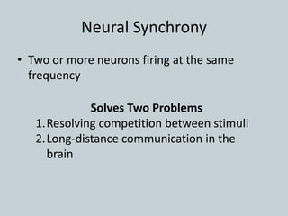 Neural Synchrony
• Two or more neurons firing at the same
frequency
Solves Two Problems
1.Resolving competition between stimuli
2.Long-distance communication in the
brain
 